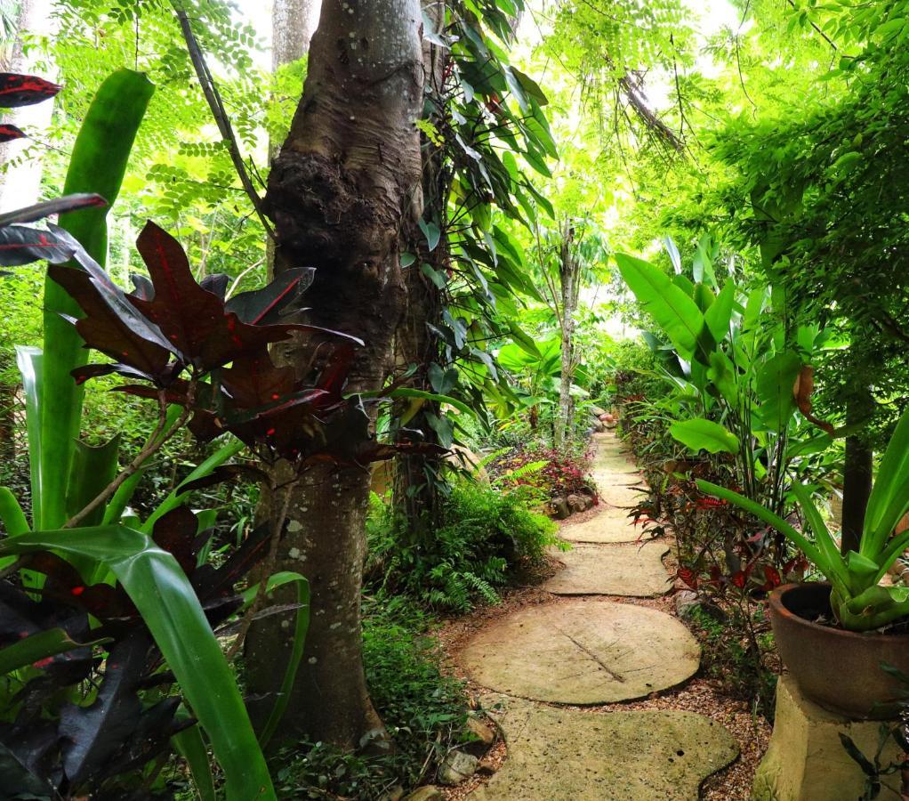 Whitsundays Bnb Retreat Airlie Beach Exterior photo
